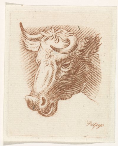 Cabeça de um touro de Pieter de Goeje