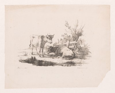 Duas vacas perto de uma cerca e um salgueiro de sondagem de Pieter de Goeje