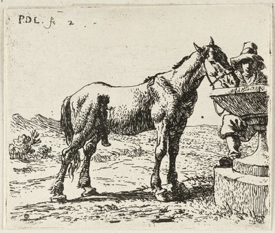 Cavalo bebedor de Pieter van Laer