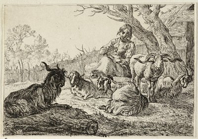 A Sheperdess entre cabras e ovelhas de Pieter van Laer