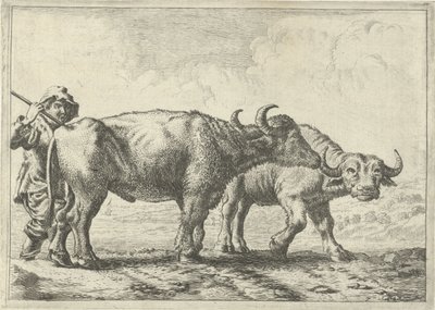 Dois búfalos e um pastor de Pieter van Laer
