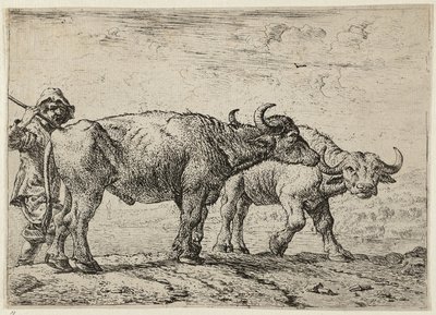 Dois búfalos e um pastor de Pieter van Laer