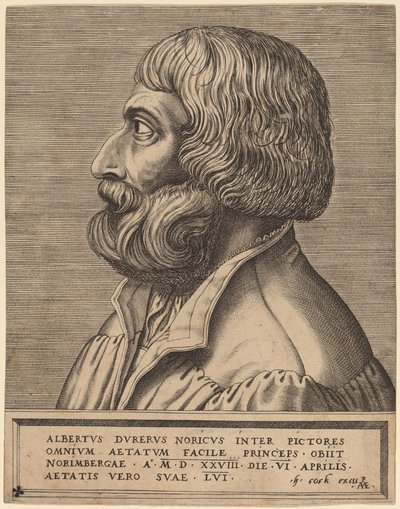 Albrecht Dürer de Pieter van der Heyden