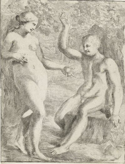 A queda de Pieter van der Plas (II)