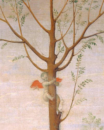 A batalha entre o Amor e a Castidade ... de Pietro (studio of) Perugino
