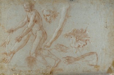 Desenho de Pietro Aquila