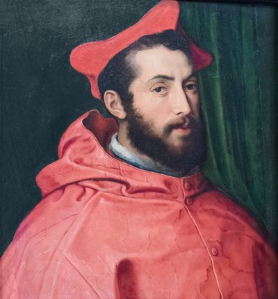 Cardeal Alessandro Farnese de Pietro Bonaccorsi