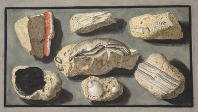 Espécimes de Tufa encontrados dentro e nos arredores de Herculano, Placa XXXXV, de &39;Campi Phlegraei: Observações sobre os Vulcões das Duas Sicílias&39;, de Sir William Hamilton (1730-1803), publicado em 1776 (col. de Pietro Fabris