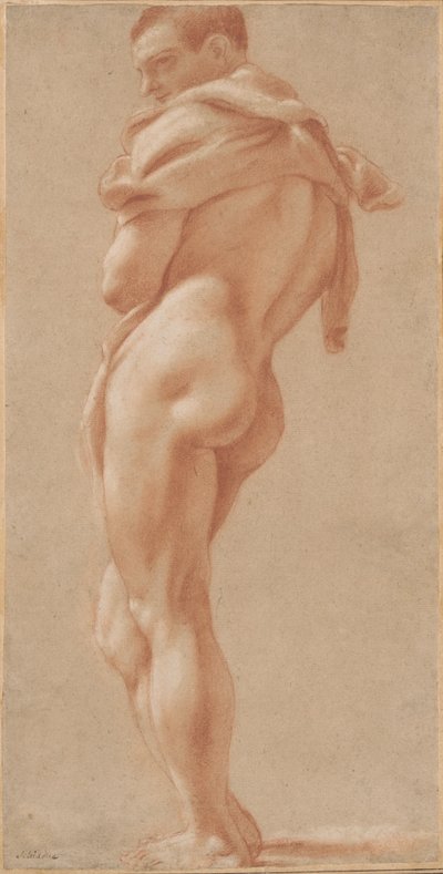 Nu masculino em pé visto por trás de Pietro Faccini