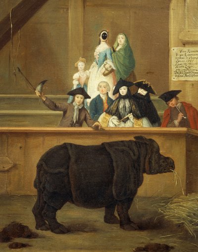 A exposição do rinoceronte de Pietro Longhi