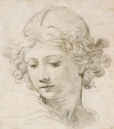 Cabeça de um anjo, olhando para a esquerda de Pietro da Cortona