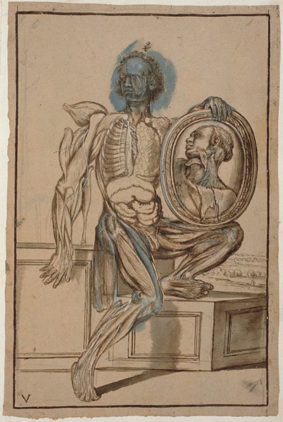 Ms Hunter 653 Desenho Anatômico da Placa V, c.1610 (lápis e giz sobre papel) de Pietro da Cortona