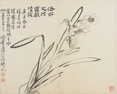 Paisagens, flores e pássaros: Narciso, Dinastia Qing de Luo Ping