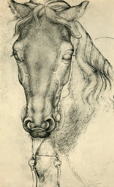 Cabeça de um cavalo, c1420-1455, 1943. de Antonio Pisanello