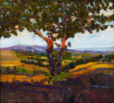 A saudação do sol, 1902 de Plinio Nomellini