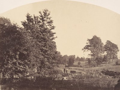 paisagem de Plunket