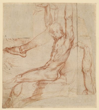 Estudo de um homem com vários esboços (anverso); Estudo de uma perna drapeada de um homem (verso) de Polidoro da Caravaggio (Polidoro Caldara)