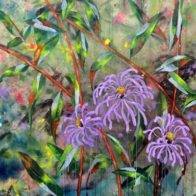 Flores roxas vibrantes no jardim de Poonam Choudhary