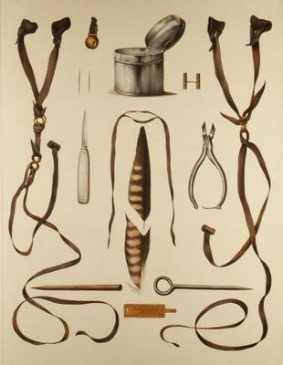 Equipamento para Falcoaria, de 