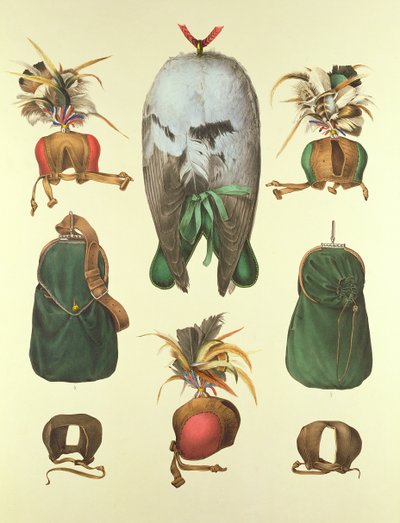 Equipamento para Falcoaria, de &39;Traite de Fauconnerie&39; por H. Schlegel e AH Verster de Wulverhorst, 1844-1853 de Portman and Van Wouw