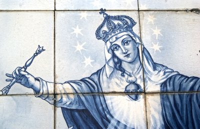 Pormenor da Virgem Maria a partir de um painel decorativo mostrando-a esmagando a Serpente, Lamego, Portugal. 1738 (azulejos de cerâmica) de Portuguese School