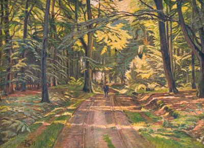 Estrada florestal perto de Dyrnæs de Poul S. Christiansen