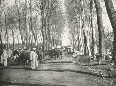 Feira e mercado árabes, Boufarik, Argélia, 1895. de Poulton and Co