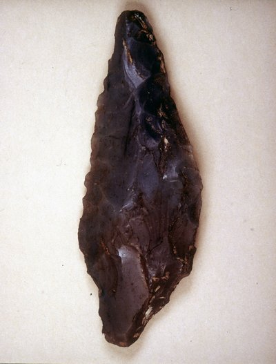 As setas apontam para a pedra. Varèse. Museu Arqueológico de Milão de Prehistoric Prehistoric
