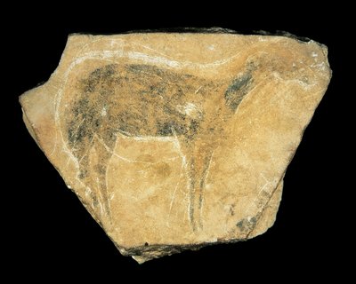 Corça negra, Gruta de Parpallo, Espanha, Paleolítico Superior (pintura) de Prehistoric Prehistoric