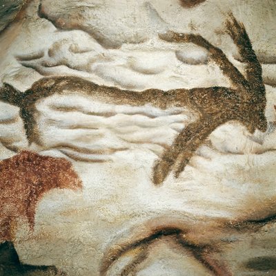 Cervid rock painting, Cave de Lascaux, Dordogne, França, Upper Paleolithic (Magdalenian) c. 13000 anos atrás (pintura) de Prehistoric Prehistoric