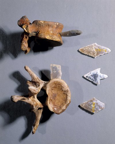 Flint com osso pré-histórico dentro, Museu de Antiguidades Nacionais. de Prehistoric Prehistoric
