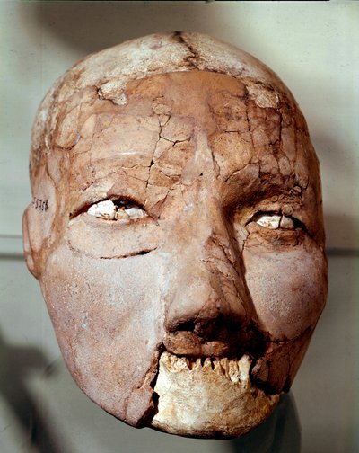 Arte Neolítica: crânio humano datado da Idade da Pedra (6000-4000 a.C.). De Jericó, Museu Arqueológico, Amman, Jordânia de Prehistoric Prehistoric
