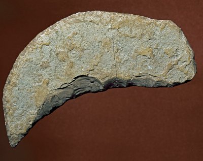 Prehistoire: ferramenta do tipo picador de fabricação lítica de Kjokkenmoddinger, denmark. Paleolítico. Verone, Museo Civico di Storia Naturale, Itália de Prehistoric Prehistoric