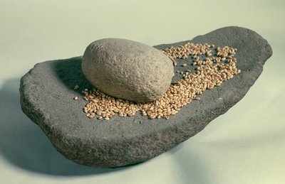 Pré-história: Roda dormente com grãos (período Neolítico). França. Saint Germain En Laye, Museu de Antiguidades. de Prehistoric Prehistoric
