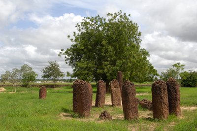 Pré-história: Círculo megalítico de pedras de Wassu, Gâmbia (foto) de Prehistoric Prehistoric