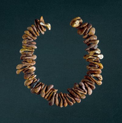 Pré-história, Idade da Pedra: colar de ossos da caverna de Polesine, Vêneto. Roma, Museo Nazionale Preistorico Etnografico Luigi Pigorini de Prehistoric Prehistoric