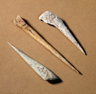 Pré-história: poleiro ósseo datado do Paleolítico. Saint-Germain-en-Laye, museu de antiguidades de Prehistoric Prehistoric