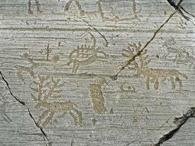 Pré-história, civilização dos Camunni, arte rupestre: pedra tumular da representação dos veados. Período entre o Neolítico e a Idade do Bronze. Rocha. 1. Capo di Ponte, Parco nazionale delle incisioni rupestri di Naquane, Valcamonica, Val Camonica, Itália de Prehistoric Prehistoric