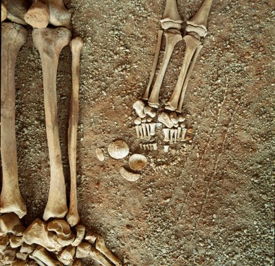 Pré-história: sepultura dupla de adultos e crianças. Vista detalhada do enxoval funerário, aos pés da criança, três caudas de esquilo, conchas e pedras da cândida caverna Arene (Finale Ligure), Ligúria. Mesolítico, 7000-6000 AC. Genes, museo di arch de Prehistoric Prehistoric