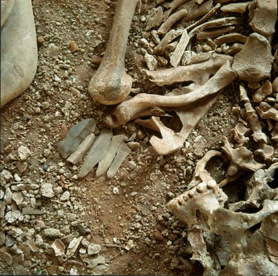 Pré-história: sepultura dupla de adultos e crianças. Vista detalhada do enxoval funerário da Caverna Candidata Arene (Finale Liguria), Liguria. Mesolítico, 7000-6000 AC. Genes, museo di archeologia ligure de Prehistoric Prehistoric