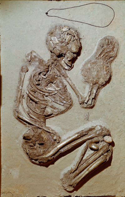 Pré-história: esqueleto feminino datado do Neolítico Superior. Cultura de Chiozza. 2900-2700 AC. Reggio Emilia, Musei Civici, Museo Chierici, Itália. de Prehistoric Prehistoric