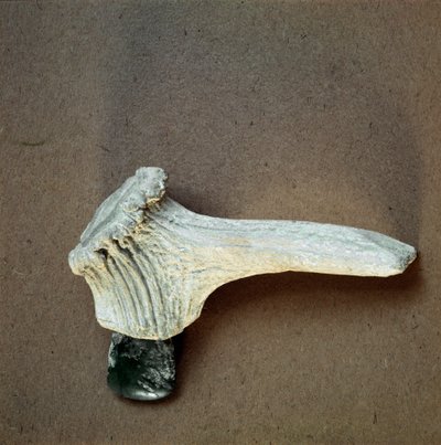 Pré-história: machado de pedra verde com cabo de chifre de veado da caverna de Pollera (Finale Ligure), Ligúria. Neolítico Médio, Idade da Pedra. Genes, museo di archeologia ligure de Prehistoric Prehistoric