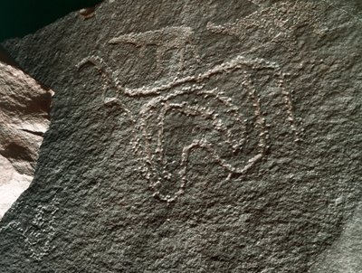 Pré-história, arte rupestre: uma rocha séria da representação de um gado. Estilo tazina. Idade da Pedra 5000-2000 AC. Taghit, planalto Haut du Hoggar (Ahaggar), Argélia de Prehistoric Prehistoric