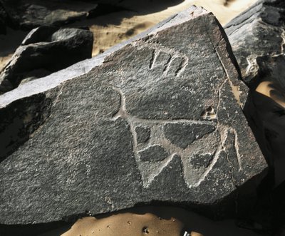 Pré-história, arte rupestre: uma rocha séria da representação de um gado. Estilo tazina. Idade da Pedra 5000-2000 AC. Taghit, planalto Haut du Hoggar (Ahaggar), Argélia de Prehistoric Prehistoric