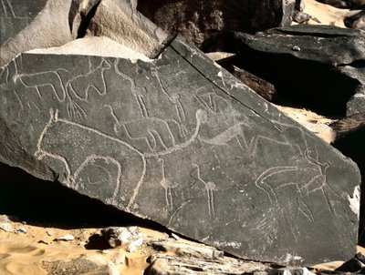Pré-história, arte rupestre: pedra sepulcral representando leões, antílopes, avestruzes e gado. Idade da Pedra 5000-2000 AC. Taghit, planalto de Haut du Hoggar, Argélia de Prehistoric Prehistoric