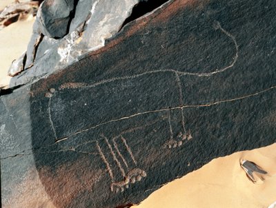 Pré-história, arte rupestre: pedra tumular da representação de um leão. Estilo tazina. Idade da Pedra 5000-2000 AC. Taghit, planalto Haut du Hoggar (Ahaggar), Argélia de Prehistoric Prehistoric