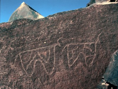 Pré-história, arte rupestre: pedra tumular da representação do gado. Estilo tazina. Idade da pedra 5000-2000 AC. Taghit, planalto Haut du Hoggar (Ahaggar), Argélia de Prehistoric Prehistoric