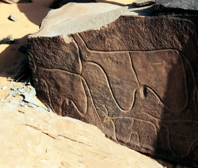 Pré-história, arte rupestre: pedra tumular da representação do gado. Estilo tazina. Idade da pedra 5000-2000 AC. Taghit, planalto Haut du Hoggar (Ahaggar), Argélia de Prehistoric Prehistoric