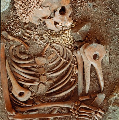 Pré-história: esqueleto e enxoval funerário de adolescentes dito do jovem príncipe da caverna da Candelária de Arene (Finale Ligure): colar de conchas, chifre de veado e sílex. Idade da Pedra, Paleolítico Superior. Genes, Museo di archeologia Ligure de Prehistoric Prehistoric