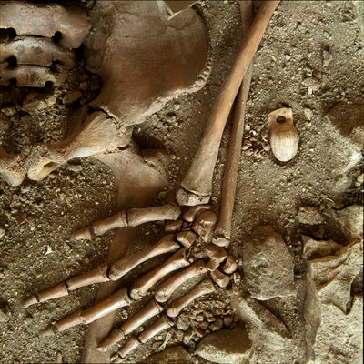 Pré-história: sepultura juvenil. Vista detalhada do enxoval funerário da caverna do Candidato Arene (Finale Ligure), Ligúria. Paleolítico Superior, 24000 AC. Genes, museo di archeologia ligure de Prehistoric Prehistoric